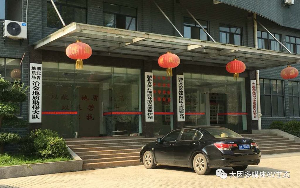 上海大因多媒体技术有限公司